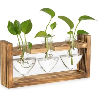 Glas-Wachstumsstation für Pflanzen: Kleine Blumenvase mit Holzrahmen zur Dekoration des Küchenfensters - 3 Knospenvasen für Terrarienpflanzen für Hydroponik-Kräuter Rosenschnitt