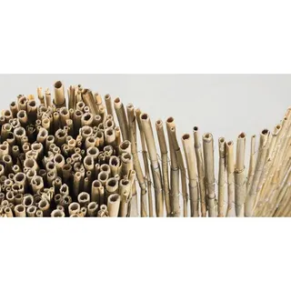 Sichtschutz - 600 x 120 cm holz