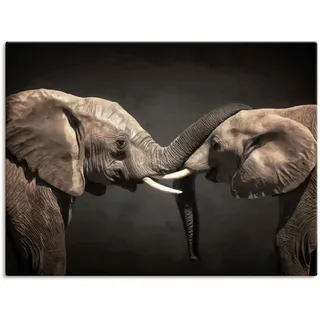 Artland Leinwandbild »Zwei Elefanten« Wildtiere 1 Stk. tlg. als Leinwandbild, Poster, Wandaufkleber in verschied. Größen, schwarz