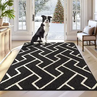 Biscpro Schmutzfangmatte 90 x 150, Rutschfestigkeit Fußmatte,Maschine gewaschen Türmatte für Hund, Außen Innen Garten,Teppich,küchenteppich,Haustür