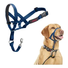 HALTI Kopfgeschirr - Verhindert, dass Ihr Hund an der Leine zieht, Einfache Anpassung, Leicht, mit gepolstertem Nasenriemen, Anti-Zug-Halsband für mittelgroße Hunde (Größe 3, Kobaltblau)