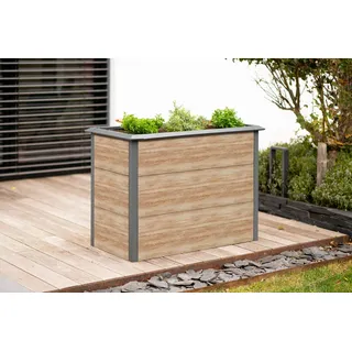 Westmann Primus-Multi M 100 x 50 x 77 cm Holzoptik/Anthrazit