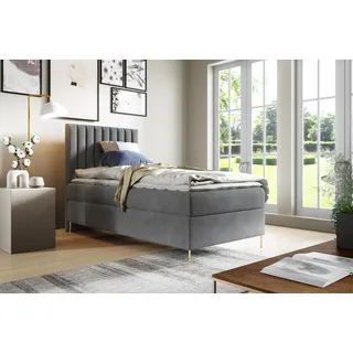 GUTTO Boxspringbett JILL 90 x 200cm mit Bettkasten TOPPER 5cm Gratis Grau Velour hohe goldene Beine - Grau
