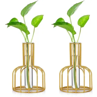 2 Stück Mini Vasen Set Glas Vase Gold Kleine Vasen Für Tischdeko Blumenvase Modern Bud Hydroponic Glasvase Reagenzgläser Für Blumen Hochzeit Wohnzimmer Deko Tablett Tisch Bad Dekoration