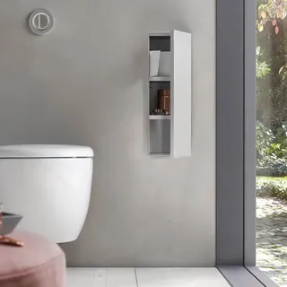 EMCO Asis Plus WC-Modul - Unterputzmodell, 3 Fächer für WC-Papier, Reserverolle oder Feuchtpapierbox, Türanschlag rechts