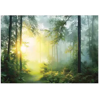 Wallarena Fototapete 3D Effekt Wald Sonne Wohnzimmer 250x175 , Multicolor , Papier , Baum/Pflanze/Natur , Rechteckig , 250x175 cm , FSC 100% , Tapeten & Wandverkleidungen, Fototapeten