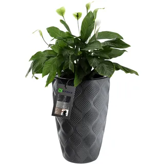 KADAX Blumentopf mit Einsatz und Griffen, Pflanzkübel aus Kunststoff in 5 Größen, UV-Resistenter Topf, Wetterbeständige Pflanzvase hoch, Topf mit 3D Effekt (Anthrazit Höhe: 58,5 cm)