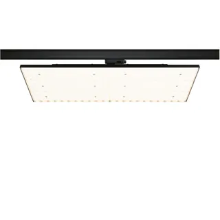 Paulmann ProRail3 LED Panel Deck - Schwarz