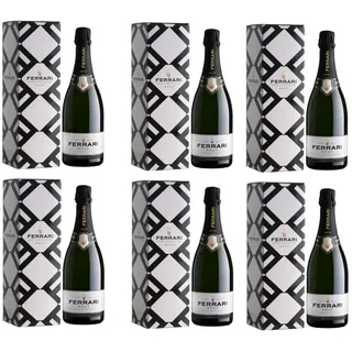 Ferrari Brut mit Etui 75 CL Stück 6
