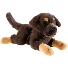 Bild Heunec® Kuscheltier »Puppy, Labrador liegend 30 cm«, braun