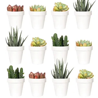 Youngever 24er Pack 5 x 5 x 5 cm Weiß