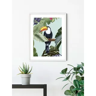 KOMAR Wandbild - Toco Toucan - Größe: 40 x 50 cm - Poster, Kunstdruck, Dekoration, Wohnzimmer, Schlafzimmer (ohne Rahmen)