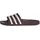 Adilette Aqua Maroon/Off White/Off White 42