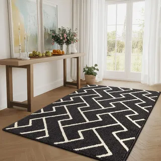 Biscpro Schmutzfangmatte 90 x 150, Rutschfestigkeit Fußmatte,Maschine gewaschen Türmatte für Hund, Außen Innen Garten,Teppich,küchenteppich,Haustür