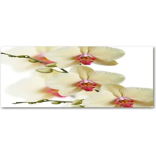 Tulup® Küchenrückwand Spritzschutz aus Glas -125x50 -Spritzschutz auf gehärtetes Glas Deko Blumen & Pflanzen Orchidee