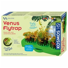 Bild Venus Flytrap