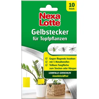 Nexa Lotte Gelbstecker