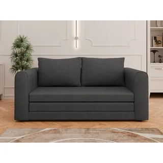 panda möbel gmbh Schlafsofa Arelis – Moderne 2-Sitzer Sofa mit Bettfunktion, Hit 2025, Platzsparendes Sofa mit Gästebettfunktion schwarz