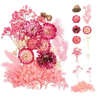 Halinuia Trockenblumen Rosa, Natürliche Getrocknete Blumen zum Basteln