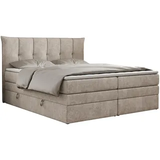 MKS Meble Boxspringbett 7-Zonen Taschenfederkernmatratze und Topper - PREMIUM-10-KING - 160x200cm - Beige - H4 - Beige