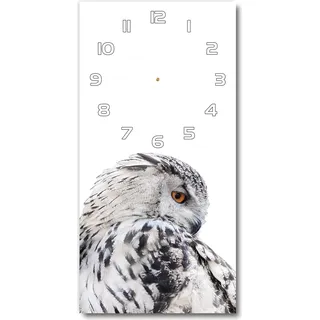Wanduhr aus Glas – 30x60 cm - Glasbild - Glasuhr - Gehärtetes Glas -Weiße Eule - Weiß