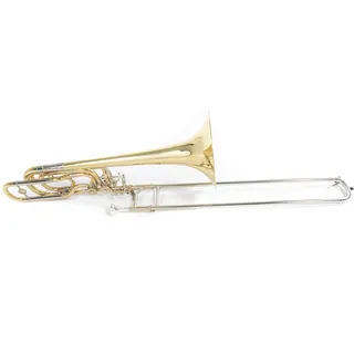 Roy Benson Bb/F/Gb/D-Bass Posaune BT-260 (2-ventiliges inline System, 10" Messing Schallstück, 14,3mm Bohrung, Neusilber Züge, hohe Präzision und Klangbrillanz, mit handlichen Formetui)