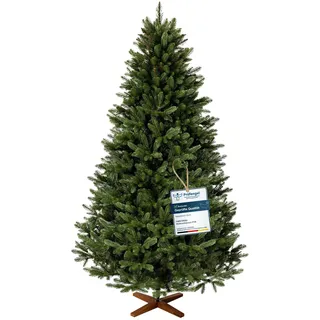 FAIRYTREES Weihnachtsbaum künstlich, Nordmanntanne Premium 220 cm, Naturgetreue Spritzguss Elemente, Made in EU, Künstlicher Weihnachtsbaum mit handgefertigtem Ständer aus Eschenholz