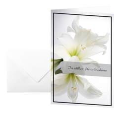 Bild 10 SIGEL Trauerkarten weiße Amaryllis, DIN A6