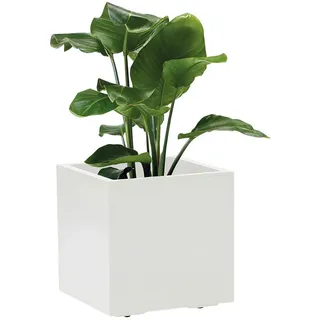 Dehner Kebe 39,5 x 39,5 x 39,5 cm Weiß