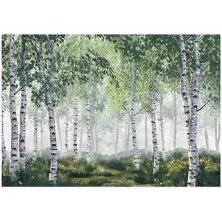 WallArena Fototapete 3D Effekt Birken Wald Bäume Tapete Wohnzimmer 300x210