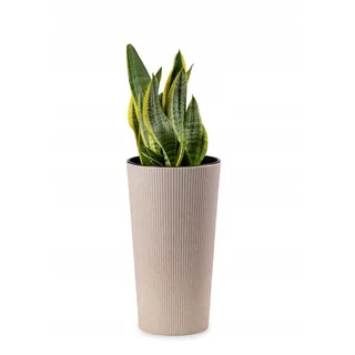 HowHomely Blumentopf Gross Hoch 47 cm mit Pflanzkübel Einsatz 26 cm Durchmesser - Beige Pflanzkübel Groß aus Kunststoff für Deko Wohnzimmer Garten oder Terrasse
