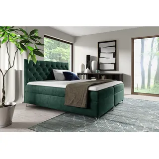 Boxspringbett Schlafzimmerbett AMBRE 160x220cm in Stoff Fresh Grün - Grün