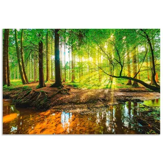 Artland Wandbild »Wald mit Bach« Wald 1 Stk. tlg. als Alubild, Leinwandbild, Poster in verschied. Größen, grün