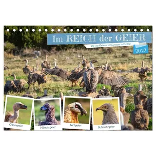 Im REICH der GEIER - Die 4 Geierarten Europas im Portrait (Tischkalender 2027 DIN A5 quer), CALVENDO Monatskalender: Europas 4 Giganten im Porträt (CALVENDO Tiere)