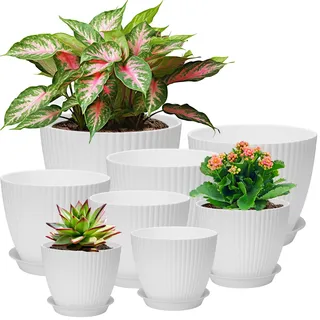 Idealife Blumentopf mit Rund Untersetzer, 8er Pot Set, Weiß