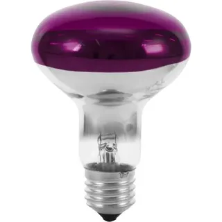 Eurolite 9210440U Halogen E27 Reflektor 60 W Violett (Ø x L) 80 mm x 110 mm 1 St.