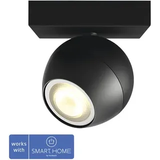 Philips Hue White ambience Buckram Einzelspot schwarz Erweiterung, Intelligenter Einbaustrahler, Bluetooth/Zigbee, Schwarz, LED, Metall, GU10 - Schwarz