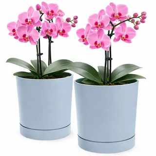 PECZEKO Blumentopf matt, Pflanzkübel aus Übertopf Kunststoff Dekorativer Topf für, groß und klein Pflanzen, 2er-Set blumenkübel, blumenkübel kräutertopf (2 Pack) Grau, ø 30 cm