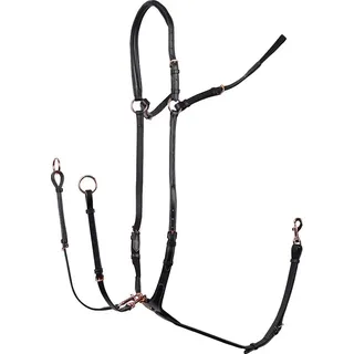 Harry ́s Horse Rosegold Vorderzeug Schwarz Full Schwarz Full - Schwarz