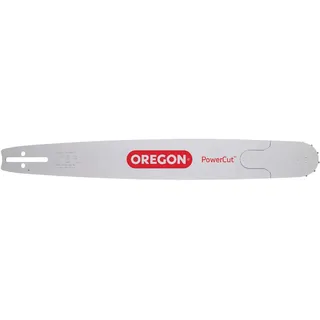 Oregon 248RNDK095 Schwert Power Match