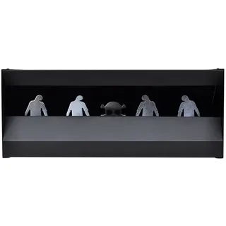 vidaXL Magnetischer Kugelfangkasten 4 + 1 Ziele Zombie-Design - Silber