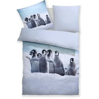 otto home my home Bettwäsche »Lyki« 2 tlg. ab Größe 135x200 cm, 100% Polyester, Katze, Pferd, Löwe, Pinguin, bunt