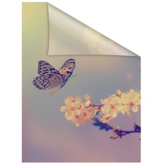 Bild Fensterfolie Schmetterling orange B/L: ca. 100x100 cm (B x L)