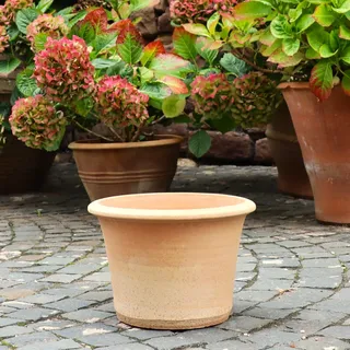 Palatina Werkstatt Terracotta Blumentopf Hosta 35cm - 100% Handgefertigter Terracotta Pflanzkübel für den Garten & Innenbereich - Robust & Stilvoll zu jeder Jahreszeit
