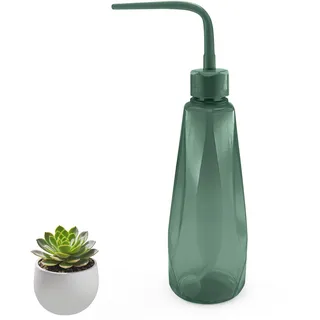 Kleine Gießkanne für Zimmerpflanzen, 450 ml Mini Giesskanne, Bewässerung Flasche für Sukkulente Kaktus Sämlinge Bonsai (Grau-Grün)