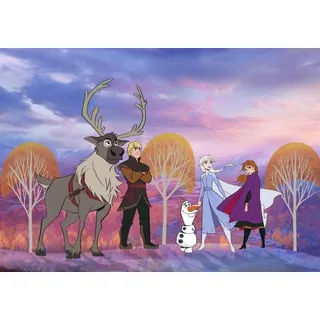 KOMAR Frozen Autumn Forest 400 x 280 cm