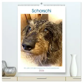 Schorschi – Ein Jahr mit dem bayrischen Rauhhaardackel (hochwertiger Premium Wandkalender 2026 DIN A2 hoch), Kunstdruck in Hochglanz: Entdecken Sie ... namens Schorschi! (CALVENDO Tiere)