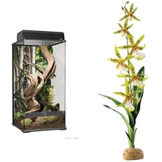 Exo Terra Terrarium aus Glas, mit einzigartiger Front Belüftung + Spinnen Orchidee, künstliche naturgetreue Pflanze für Terrarien