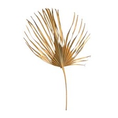 Palmenblätter XXL ca.78cm, gold