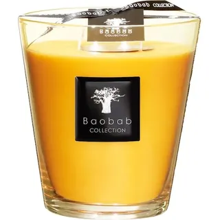 Baobab Collection All-SeasonsZanzibar SpicesDuftkerze Max 16 1100 g